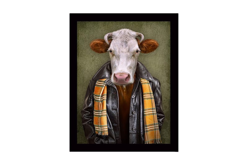 Inramad Canvastavla i trä - 41x56 cm - Klädd ko med läderjacka och scarf, Svart / Orange / Grön