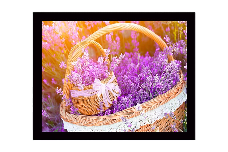 Inramad Canvastavla i trä - 41x56 cm - Korg fylld med lavendelblommor - Lila / Grön / Brun - Inredning - Tavlor & konst
