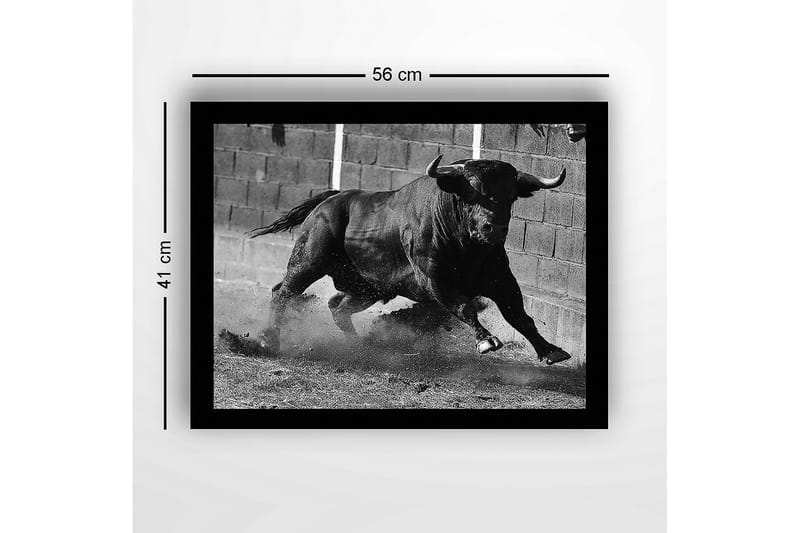 Inramad Canvastavla i trä - 41x56 cm - Kraftfull tjur i rörelse - Svart / Grå - Inredning - Tavlor & konst