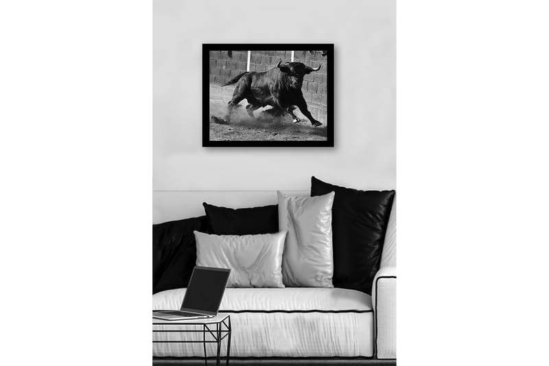 Inramad Canvastavla i trä - 41x56 cm - Kraftfull tjur i rörelse - Svart / Grå - Inredning - Tavlor & konst