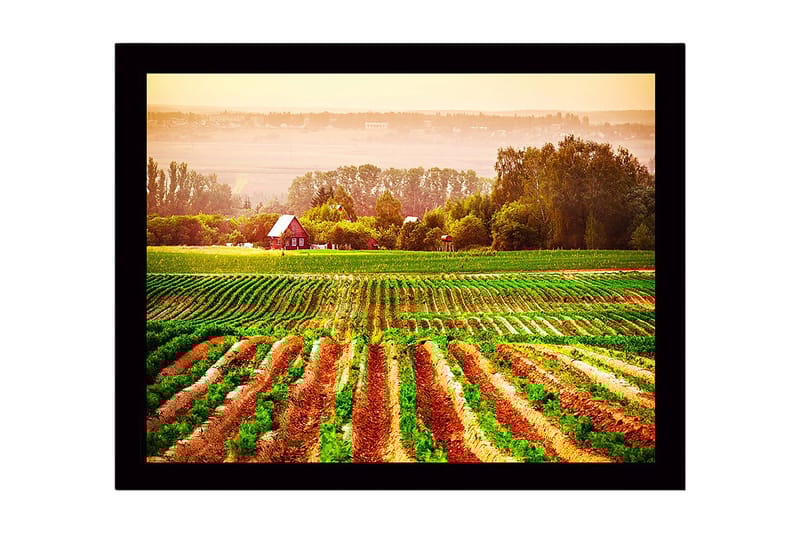 Inramad Canvastavla i trä - 41x56 cm - Lantlig scen med ett rött hus omgiven av gröna fält och plöjda åkrar, Grön / Orange / Röd