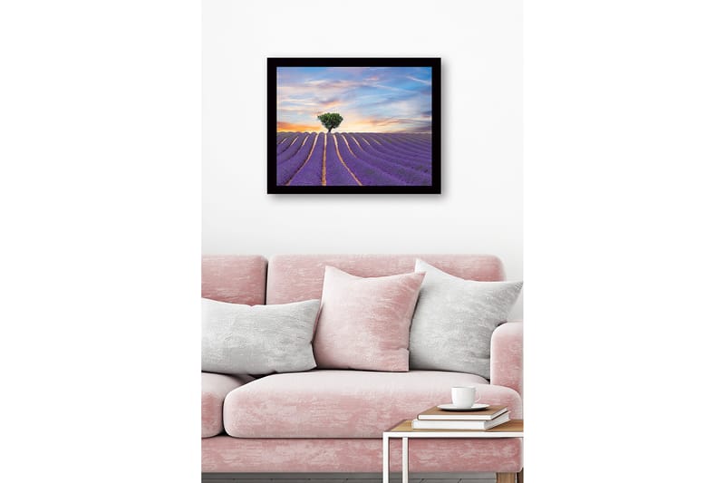 Inramad Canvastavla i trä - 41x56 cm - Lavendelfält med en ensam trädkrona i horisonten - Lila / Grön / Beige - Inredning - Tavlor & konst
