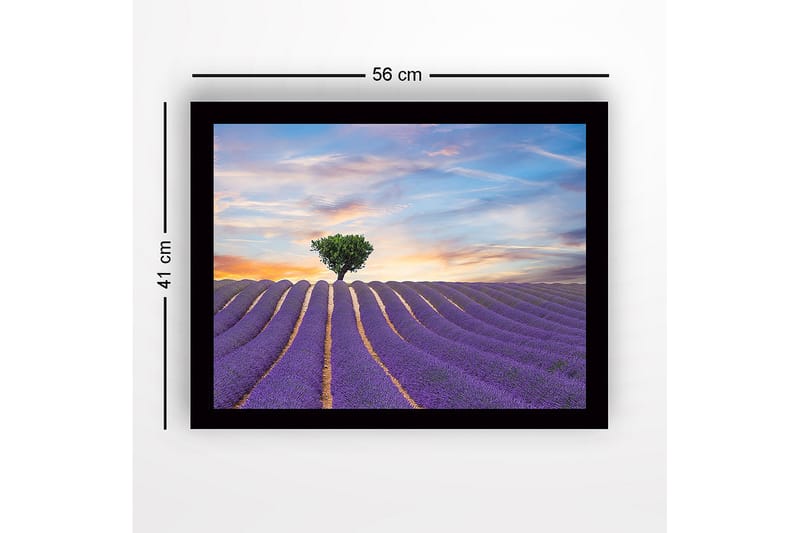 Inramad Canvastavla i trä - 41x56 cm - Lavendelfält med en ensam trädkrona i horisonten - Lila / Grön / Beige - Inredning - Tavlor & konst