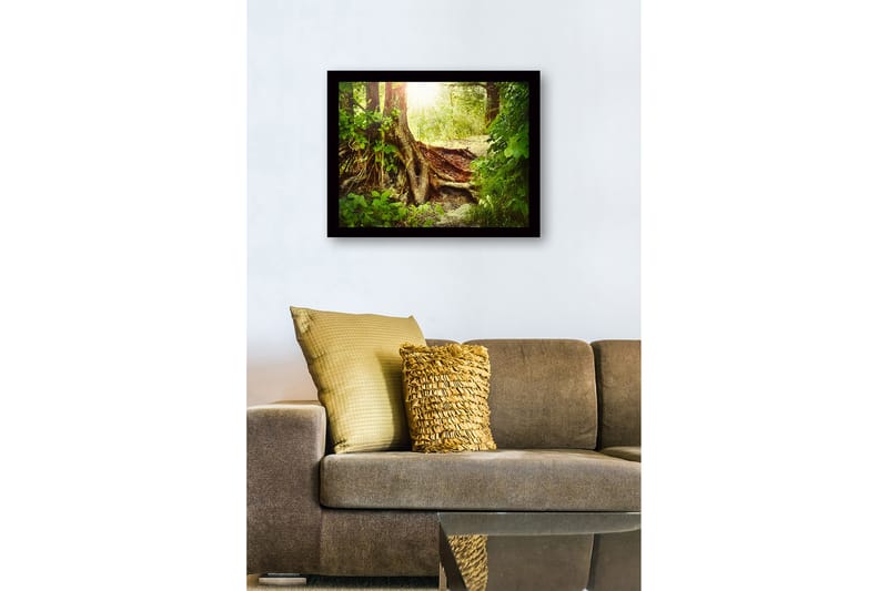 Inramad Canvastavla i trä - 41x56 cm - Lummig skog med en stor trädrot och solstrålar som sipprar genom lövverket - Grön / Brun / Gul - Inredning - Tavlor & konst