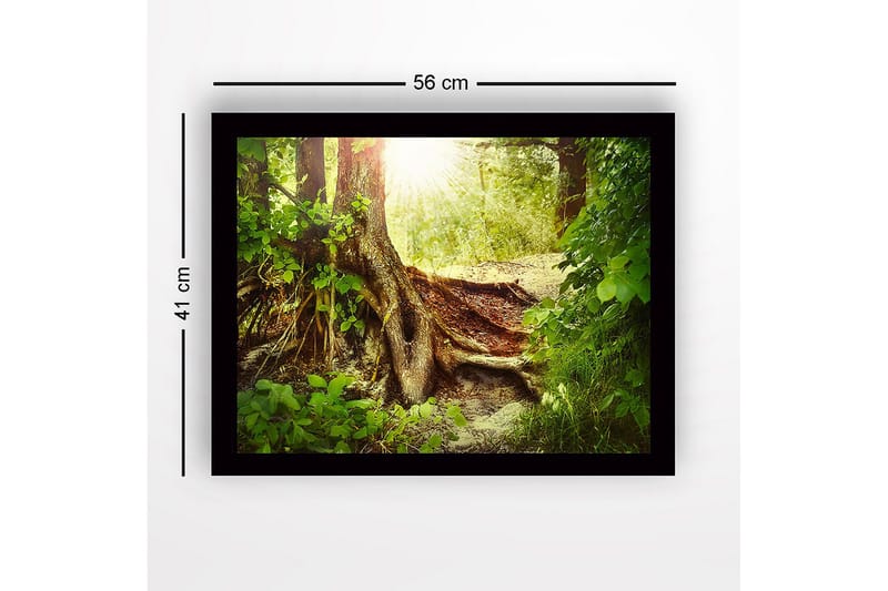 Inramad Canvastavla i trä - 41x56 cm - Lummig skog med en stor trädrot och solstrålar som sipprar genom lövverket - Grön / Brun / Gul - Inredning - Tavlor & konst