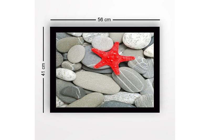 Inramad Canvastavla i trä - 41x56 cm - Röd sjöstjärna på en samling grå stenar - Grå / Röd - Inredning - Tavlor & konst