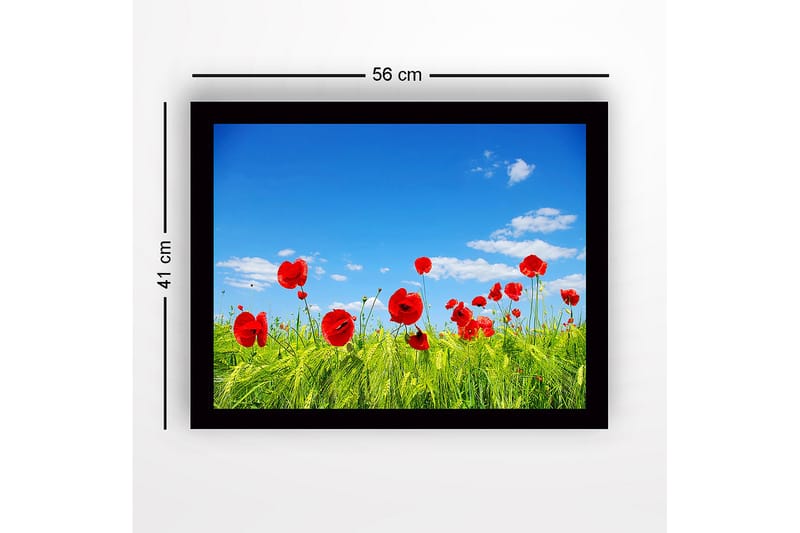 Inramad Canvastavla i trä - 41x56 cm - Röd vallmo i en grön äng under en klarblå himmel - Röd / Grön / Blå - Inredning - Tavlor & konst