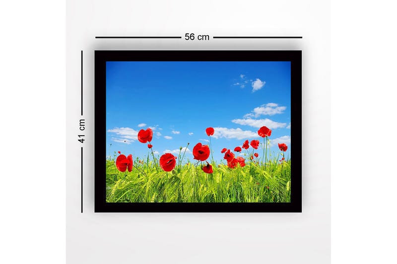 Inramad Canvastavla i trä - 41x56 cm - Röd vallmo i en grön äng under en klarblå himmel - Röd / Grön / Blå - Inredning - Tavlor & konst