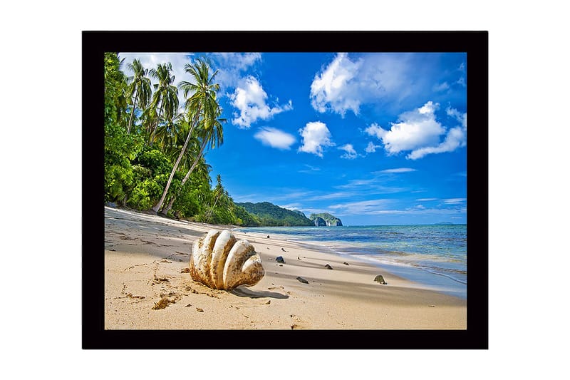 Inramad Canvastavla i trä - 41x56 cm - Snäckskal på en solig strand med palmer i bakgrunden - Blå / Grön / Beige - Inredning - Tavlor & konst