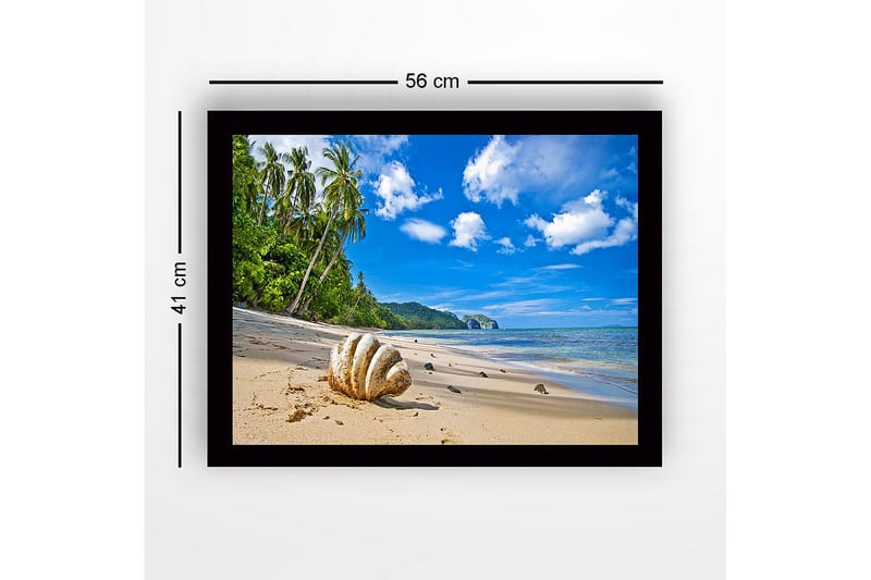 Inramad Canvastavla i trä - 41x56 cm - Snäckskal på en solig strand med palmer i bakgrunden - Blå / Grön / Beige - Inredning - Tavlor & konst