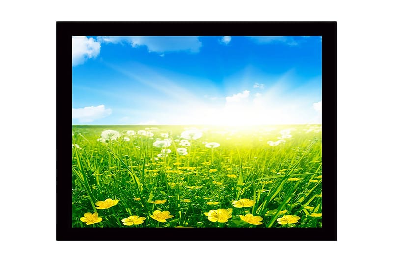 Inramad Canvastavla i trä - 41x56 cm - Solig äng med gula blommor och grönt gräs - Gult / Grönt / Blått - Inredning - Tavlor & konst