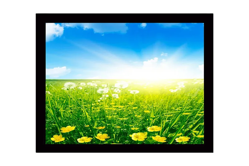 Inramad Canvastavla i trä - 41x56 cm - Solig äng med gula blommor och grönt gräs - Gult / Grönt / Blått - Inredning - Tavlor & konst