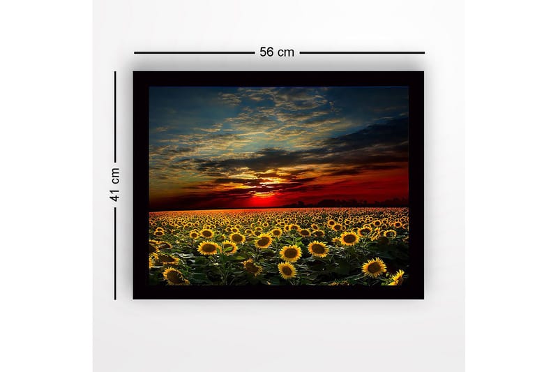 Inramad Canvastavla i trä - 41x56 cm - Solrosfält under en färgsprakande solnedgång - Gult / Orange / Blått - Inredning - Tavlor & konst