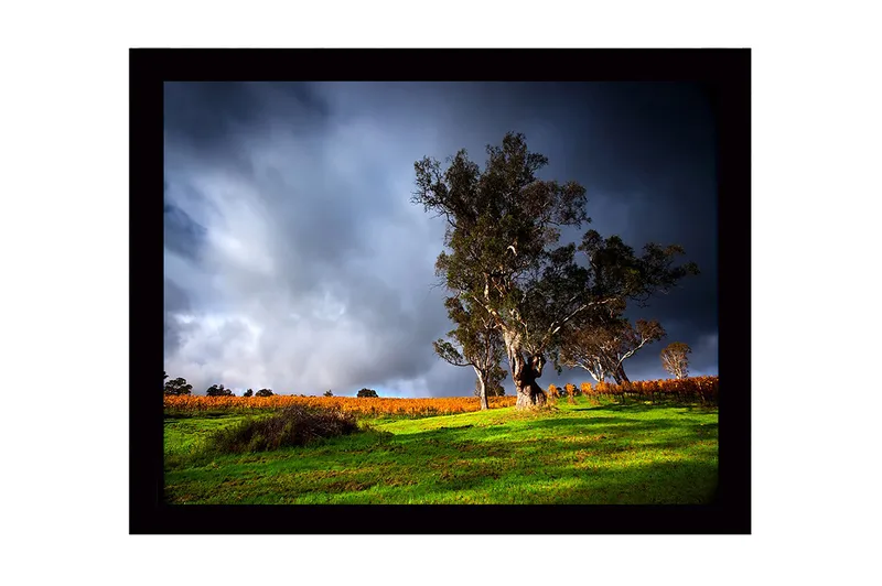 Inramad Canvastavla i trä - 41x56 cm - Ståtlig ek i en dramatisk landskapsmiljö - Mörkgrön / Grå / Orange - Inredning - Tavlor & konst
