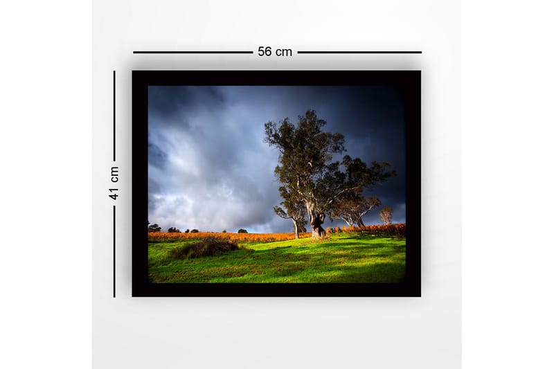 Inramad Canvastavla i trä - 41x56 cm - Ståtlig ek i en dramatisk landskapsmiljö - Mörkgrön / Grå / Orange - Inredning - Tavlor & konst