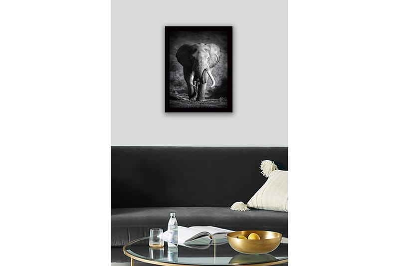 Inramad Canvastavla i trä - 41x56 cm - Storslagen elefant i majestätisk pose - Svart / Grå - Inredning - Tavlor & konst