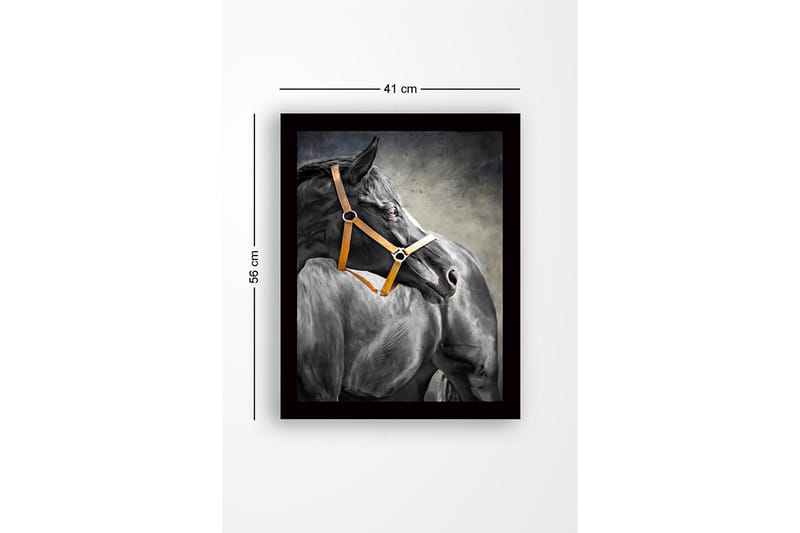Inramad Canvastavla i trä - 41x56 cm - Svart häst med en orange grimma i profil - Svart / Orange / Grå - Inredning - Tavlor & konst