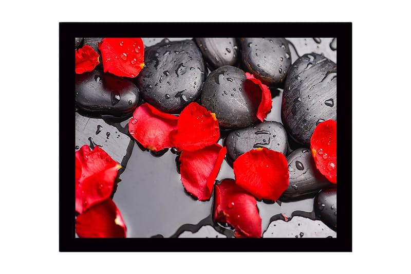 Inramad Canvastavla i trä - 41x56 cm - Svart stenar med röda rosenblad och vattendroppar - Röd / Svart - Inredning - Tavlor & konst