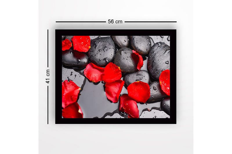 Inramad Canvastavla i trä - 41x56 cm - Svart stenar med röda rosenblad och vattendroppar - Röd / Svart - Inredning - Tavlor & konst