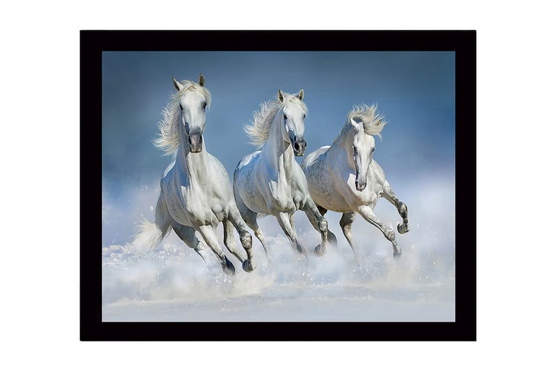 Inramad Canvastavla i trä - 41x56 cm - Tre vita hästar som galopperar genom vatten - Vit / Ljusblå - Inredning - Tavlor & konst