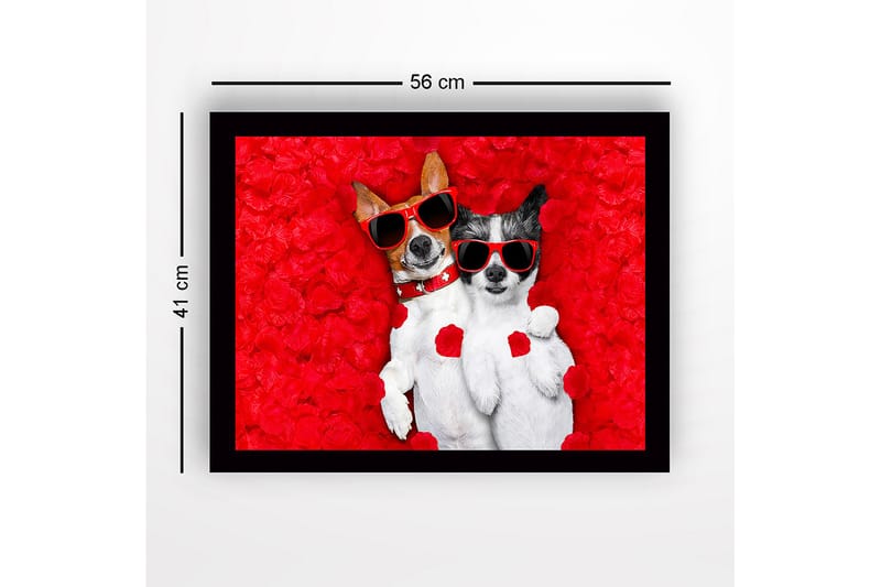 Inramad Canvastavla i trä - 41x56 cm - Två hundar i solglasögon omgivna av röda rosblad - Röd / Svart / Vit - Inredning - Tavlor & konst