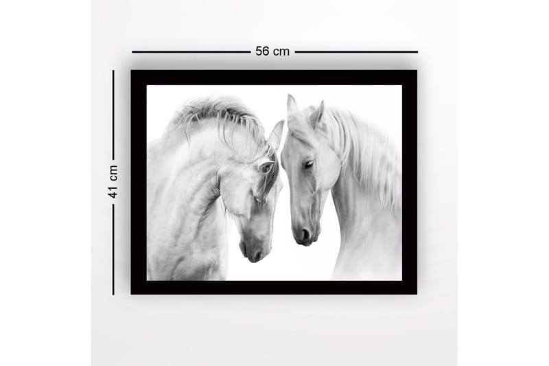 Inramad Canvastavla i trä - 41x56 cm - Två majestätiska hästar som lutar sina huvuden mot varandra - Vit / Grå - Inredning - Tavlor & konst