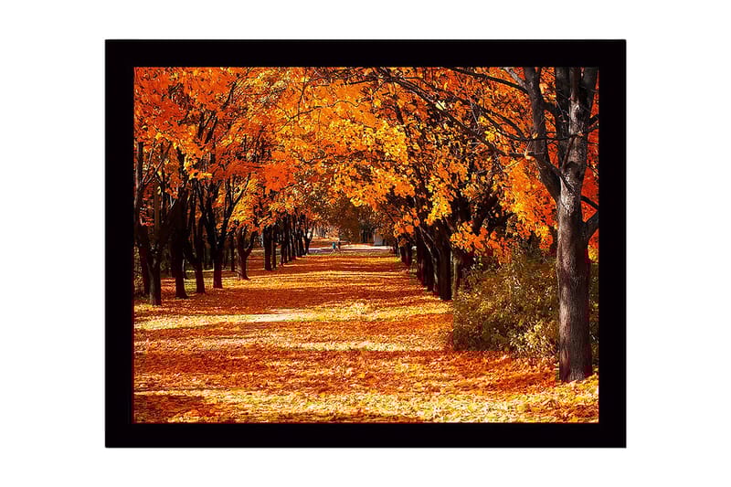 Inramad Canvastavla i trä - 41x56 cm - Vacker allé med höstfärgade träd - Orange / Guld / Brun - Inredning - Tavlor & konst