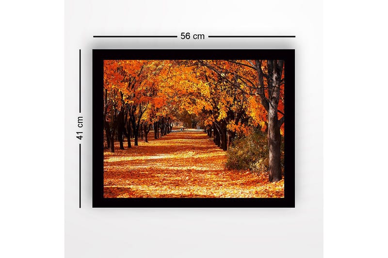 Inramad Canvastavla i trä - 41x56 cm - Vacker allé med höstfärgade träd - Orange / Guld / Brun - Inredning - Tavlor & konst