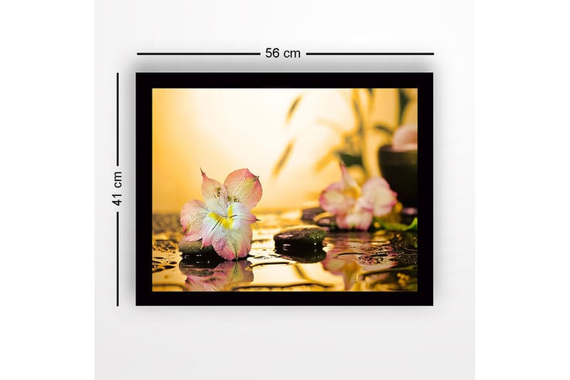 Inramad Canvastavla i trä - 41x56 cm - Vacker blomma med droppar av vatten på stenar - Rosa / Grön / Gul - Inredning - Tavlor & konst