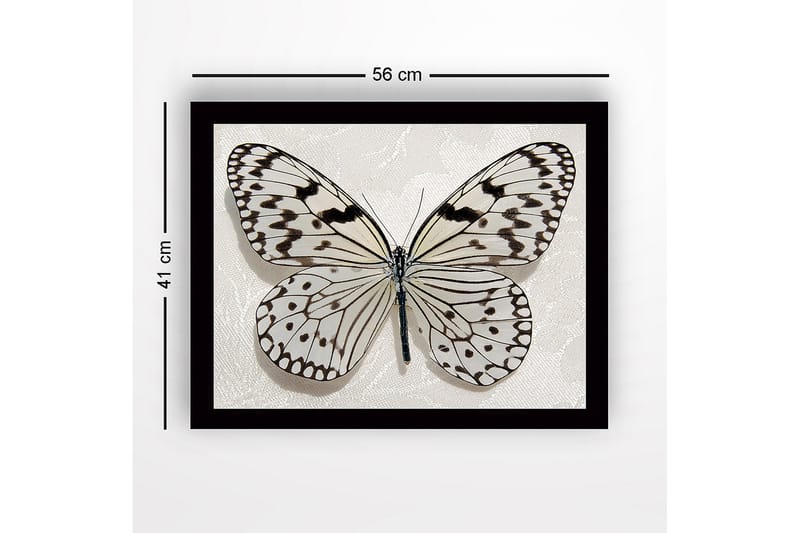Inramad Canvastavla i trä - 41x56 cm - Vacker fjäril med detaljerade mönster i svart och vitt - Vit / Svart - Inredning - Tavlor & konst