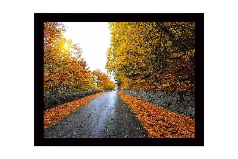 Inramad Canvastavla i trä - 41x56 cm - Vacker höstlandskap med en väg omgiven av gyllene träd - Guld / Orange / Grå - Inredning - Tavlor & konst