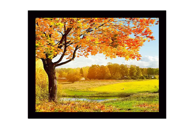 Inramad Canvastavla i trä - 41x56 cm - Vacker höstlandskap med ett stort träd och färgglada löv, Orange / Gult / Grönt