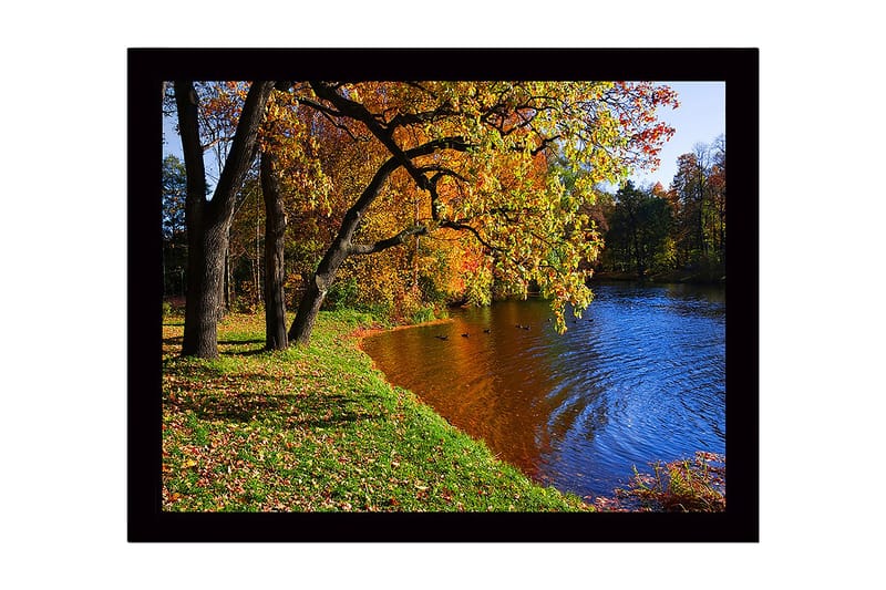 Inramad Canvastavla i trä - 41x56 cm - Vacker höstlandskap med färgglada träd och spegelblanka vattenytor - Guld / Grön / Blå - Inredning - Tavlor & konst