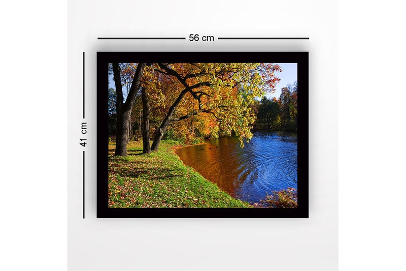 Inramad Canvastavla i trä - 41x56 cm - Vacker höstlandskap med färgglada träd och spegelblanka vattenytor - Guld / Grön / Blå - Inredning - Tavlor & konst