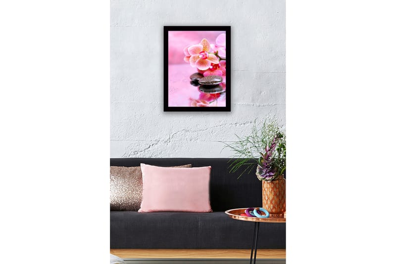 Inramad Canvastavla i trä - 41x56 cm - Vacker orkidé med stenar och droppar av vatten - Rosa / Svart - Inredning - Tavlor & konst