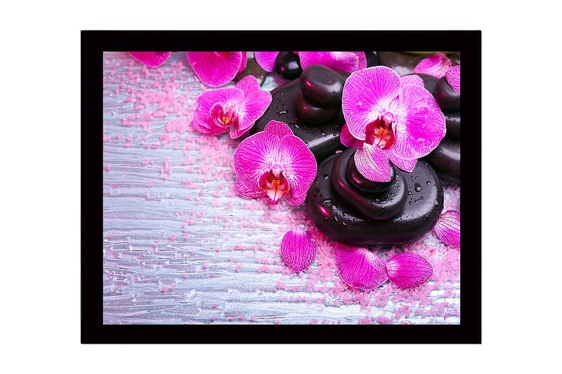 Inramad Canvastavla i trä - 41x56 cm - Vacker samling av orkidéer och svarta stenar - Rosa / Svart / Ljusgrå - Inredning - Tavlor & konst