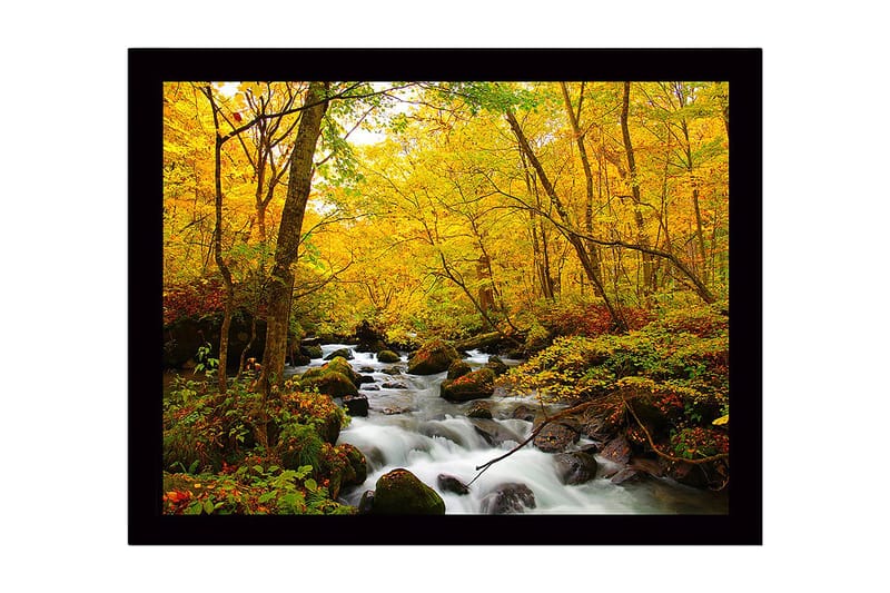 Inramad Canvastavla i trä - 41x56 cm - Vacker skog med en porlande bäck omgiven av gyllene höstlöv, Gult / Grönt / Brunt