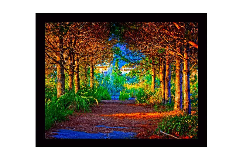 Inramad Canvastavla i trä - 41x56 cm - Vacker skogsstig omgiven av träd i gyllene och gröna nyanser, Guld / Grön / Brun