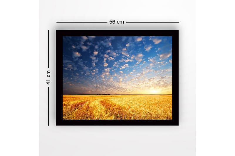 Inramad Canvastavla i trä - 41x56 cm - Vacker solnedgång över ett gyllene fält av vete - Guld / Blå / Vit - Inredning - Tavlor & konst