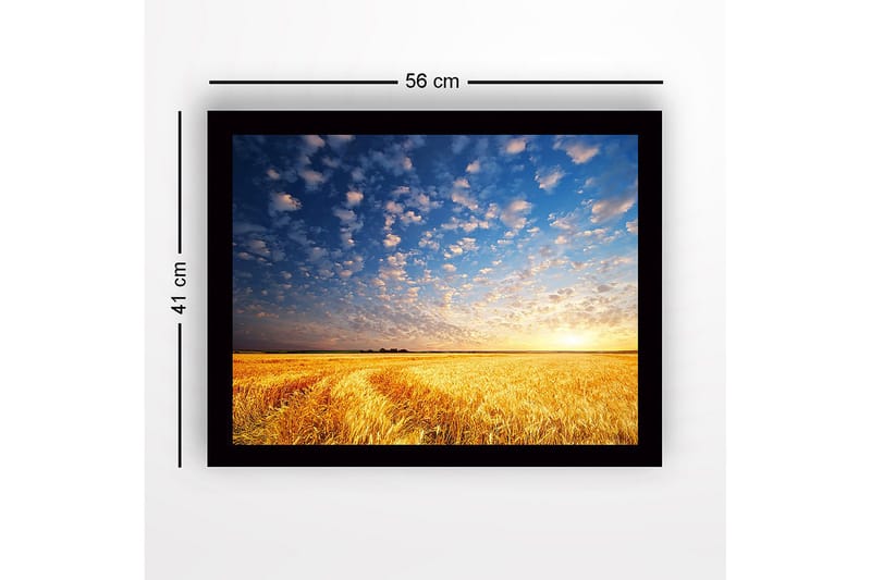Inramad Canvastavla i trä - 41x56 cm - Vacker solnedgång över ett gyllene fält av vete - Guld / Blå / Vit - Inredning - Tavlor & konst