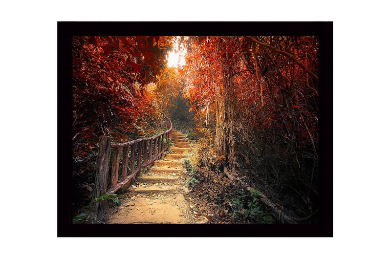 Inramad Canvastavla i trä - 41x56 cm - Vacker stig genom en höstfärgad skog - Röd / Orange / Brun - Inredning - Tavlor & konst