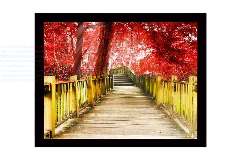 Inramad Canvastavla i trä - 41x56 cm - Vacker träbro omgiven av röda träd i en höstlig miljö, Röd / Gul / Brun
