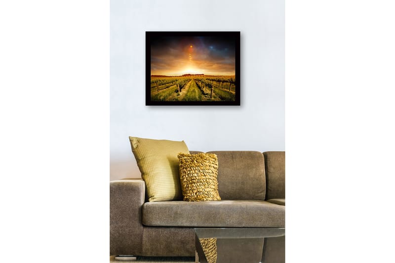 Inramad Canvastavla i trä - 41x56 cm - Vacker vinodling under en gyllene solnedgång - Guld / Grön / Brun - Inredning - Tavlor & konst