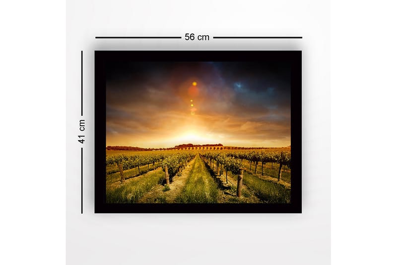 Inramad Canvastavla i trä - 41x56 cm - Vacker vinodling under en gyllene solnedgång - Guld / Grön / Brun - Inredning - Tavlor & konst