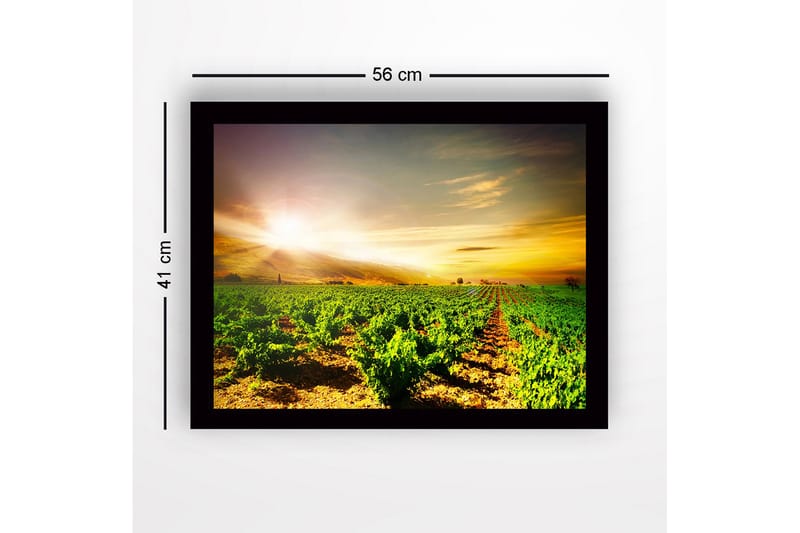 Inramad Canvastavla i trä - 41x56 cm - Vacker vinodling under en soluppgång - Grön / Gul / Orange - Inredning - Tavlor & konst