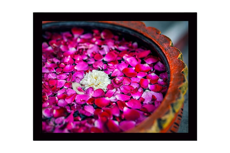 Inramad Canvastavla i trä - 41x56 cm - Vit blomma omgiven av rosa rosenblad i en skål - Rosa / Vit - Inredning - Tavlor & konst