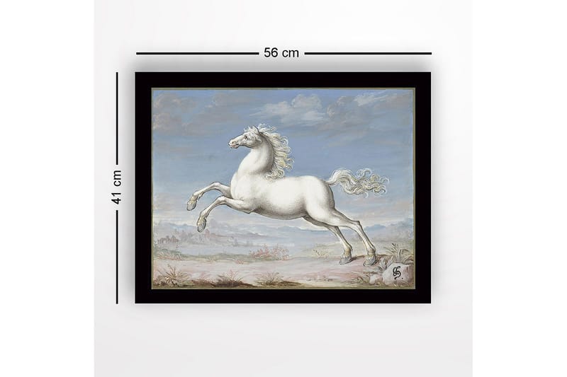 Inramad Canvastavla i trä - 41x56 cm - Vit häst i språng mot en blå himmel - Vit / Blå / Beige - Inredning - Tavlor & konst
