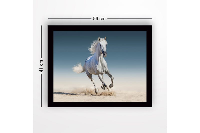 Inramad Canvastavla i trä - 41x56 cm - Vit häst som galopperar genom sanden - Vit / Beige / Blå - Inredning - Tavlor & konst