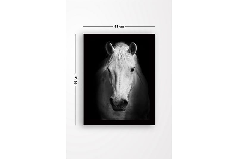 Inramad Canvastavla i trä - 41x56 cm - Porträtt av en vit häst med starka kontraster - Vit / Svart - Inredning - Tavlor & konst
