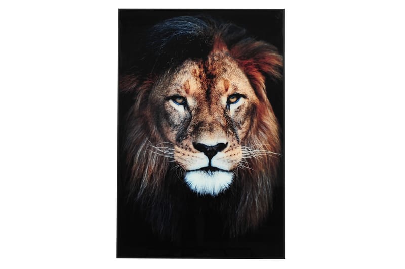 Lejon Tavla - 80x120 cm Flerfärgad - Inredning - Tavlor & konst